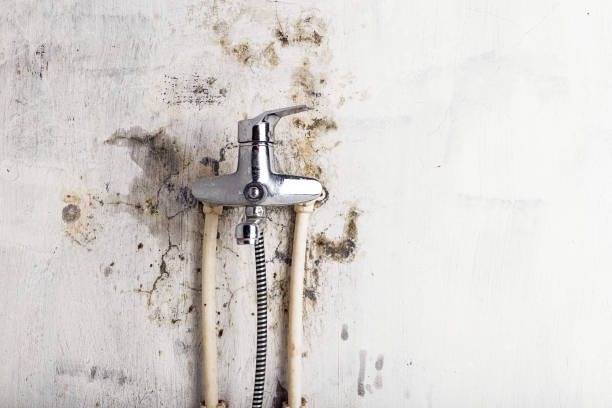 Mold Removal Process in Mountain Home, NC