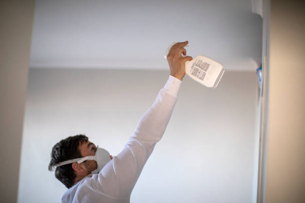 Best Attic Mold Removal  in Mountain Home, NC