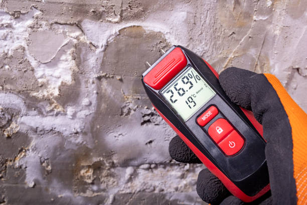 Best Mold Testing  in Mountain Home, NC