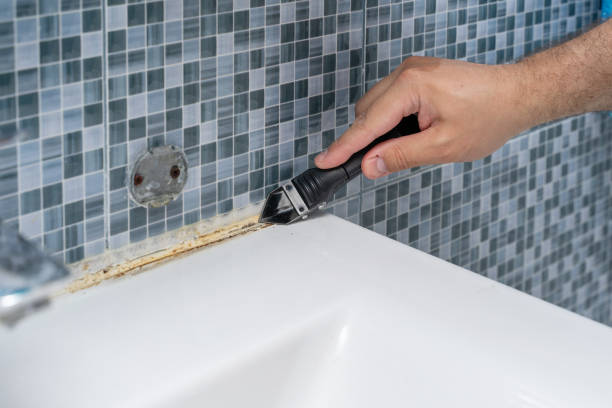 Best Residential Mold Removal  in Mountain Home, NC