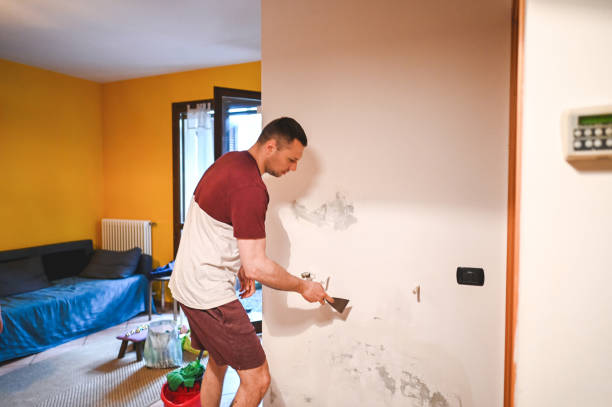 Best Mold Removal and Inspection  in Mountain Home, NC